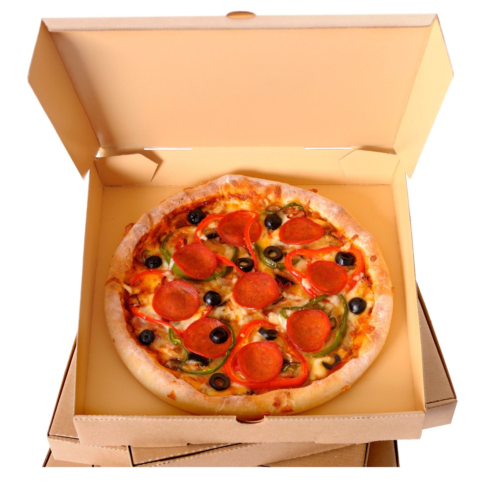 Specialized Dry Food Box